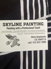 Logo for Skyline Painting