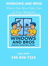 Avatar for Windows and Bros