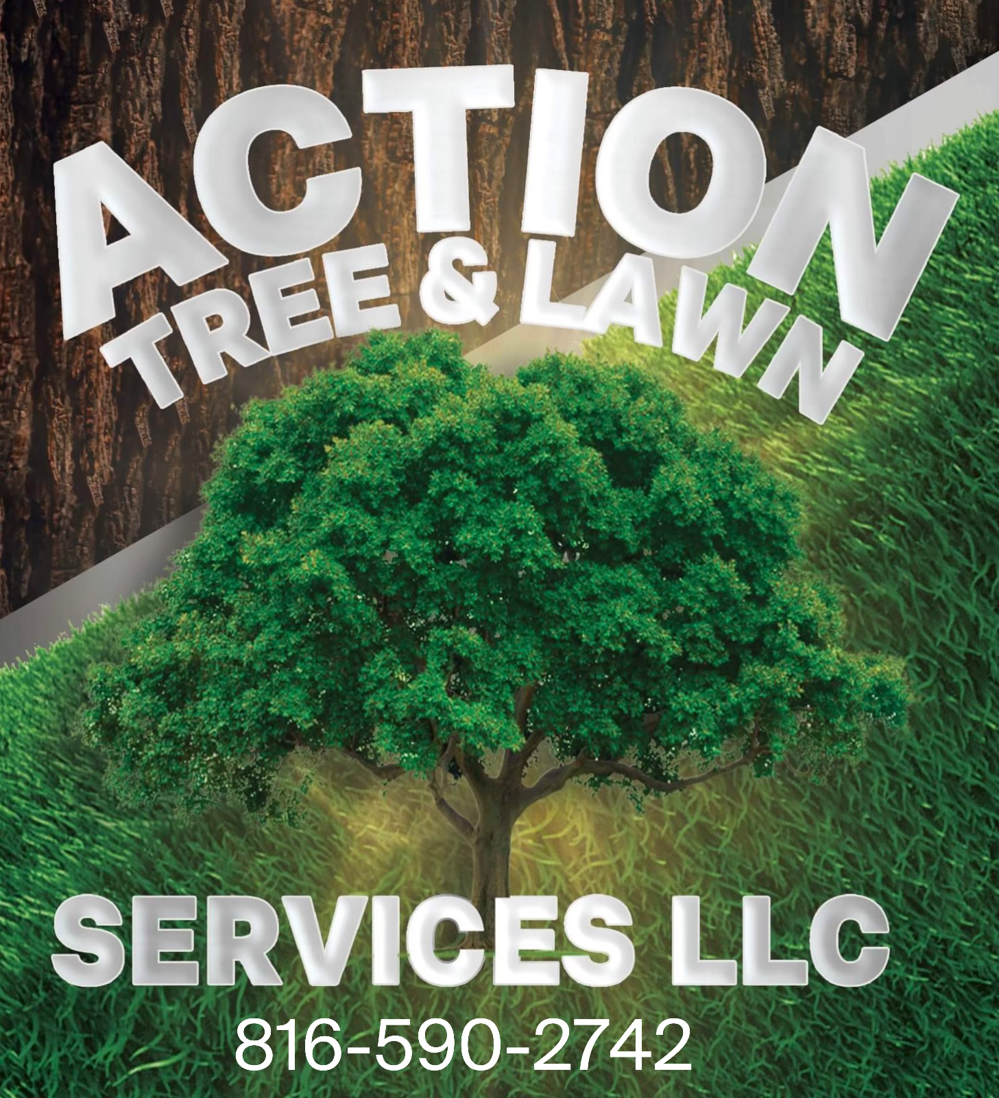 Logo for ACTION LAWN & TREE SERVICE