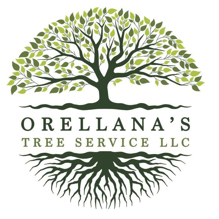 Avatar for Orellana's Tree Service