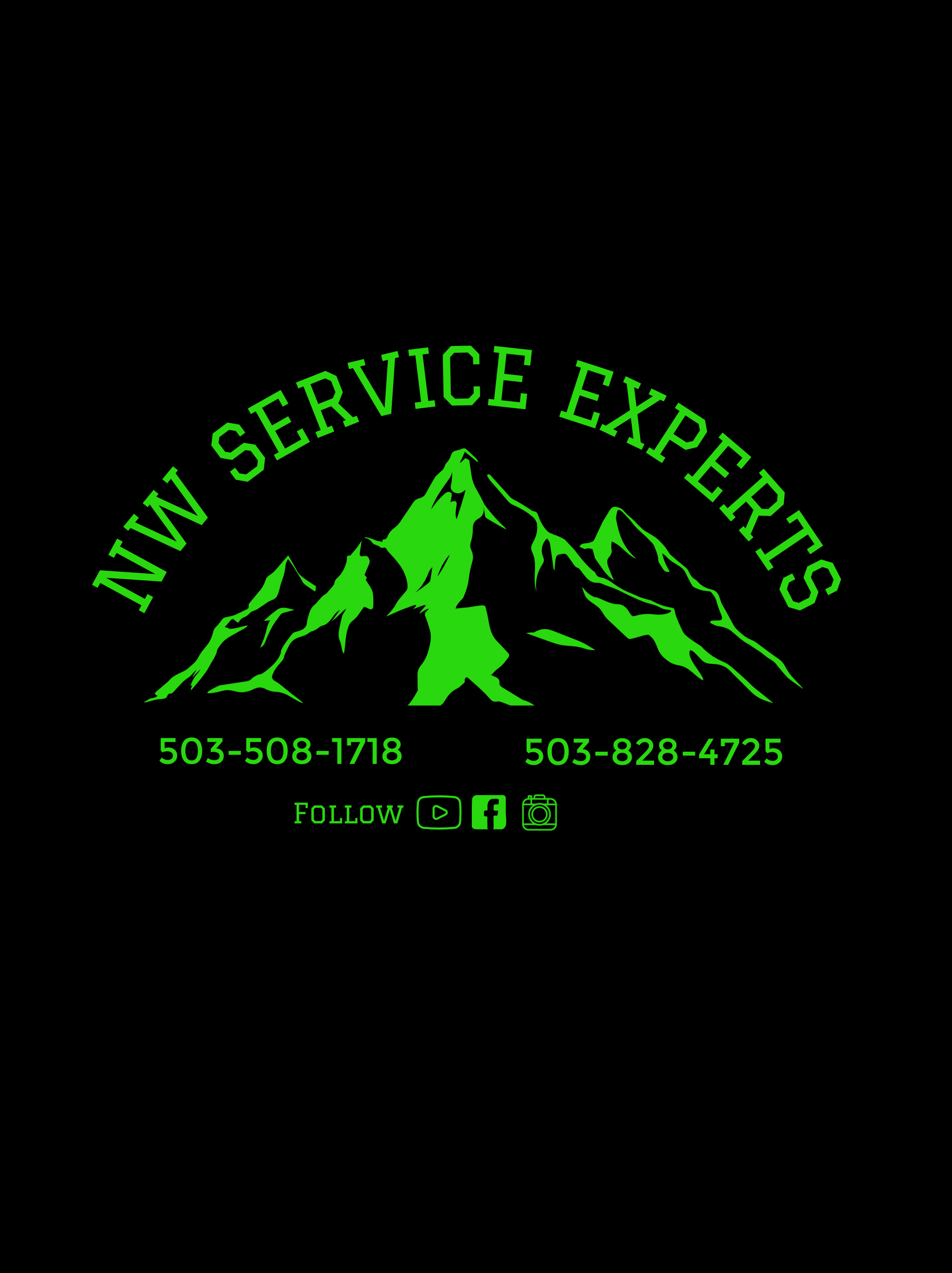 Logo for NW Service Experts