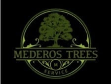 Avatar for Mederos Trees Service