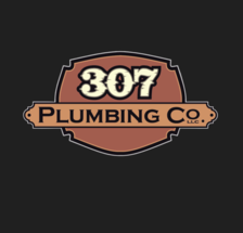 Avatar for 307 Plumbing Co.