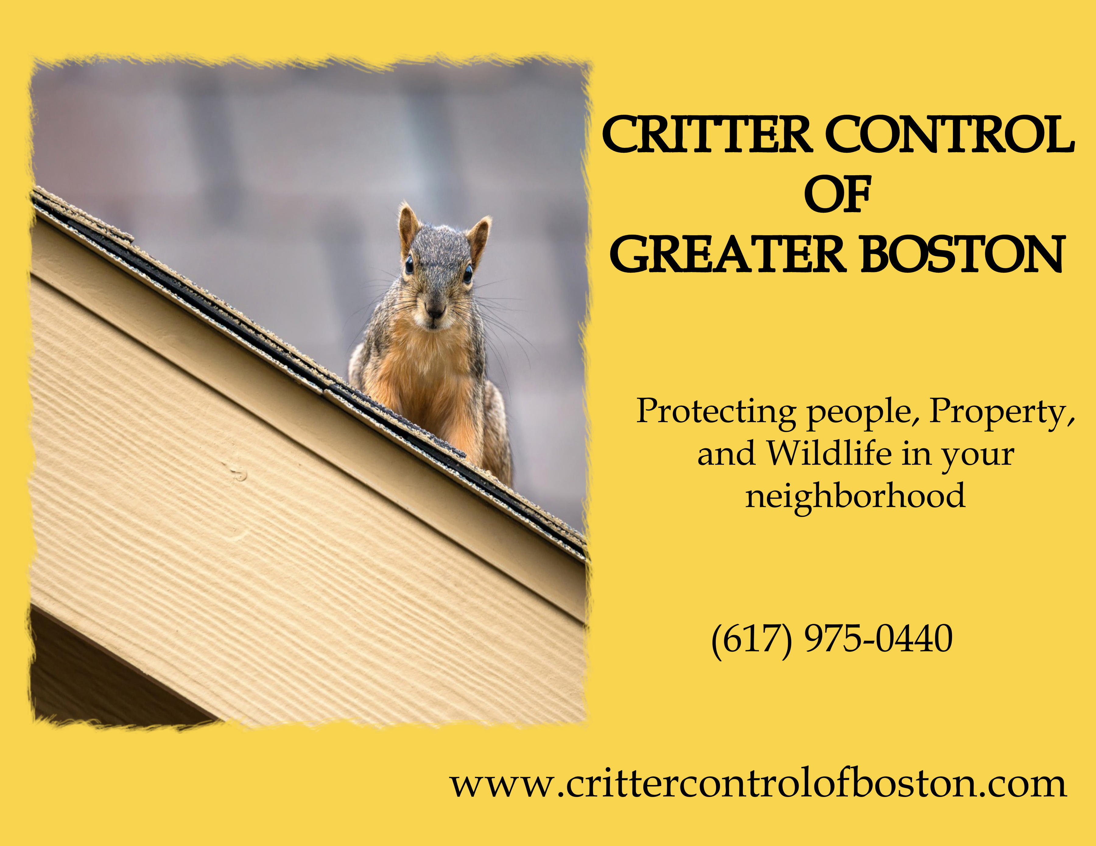 Critter Control of Boston logo