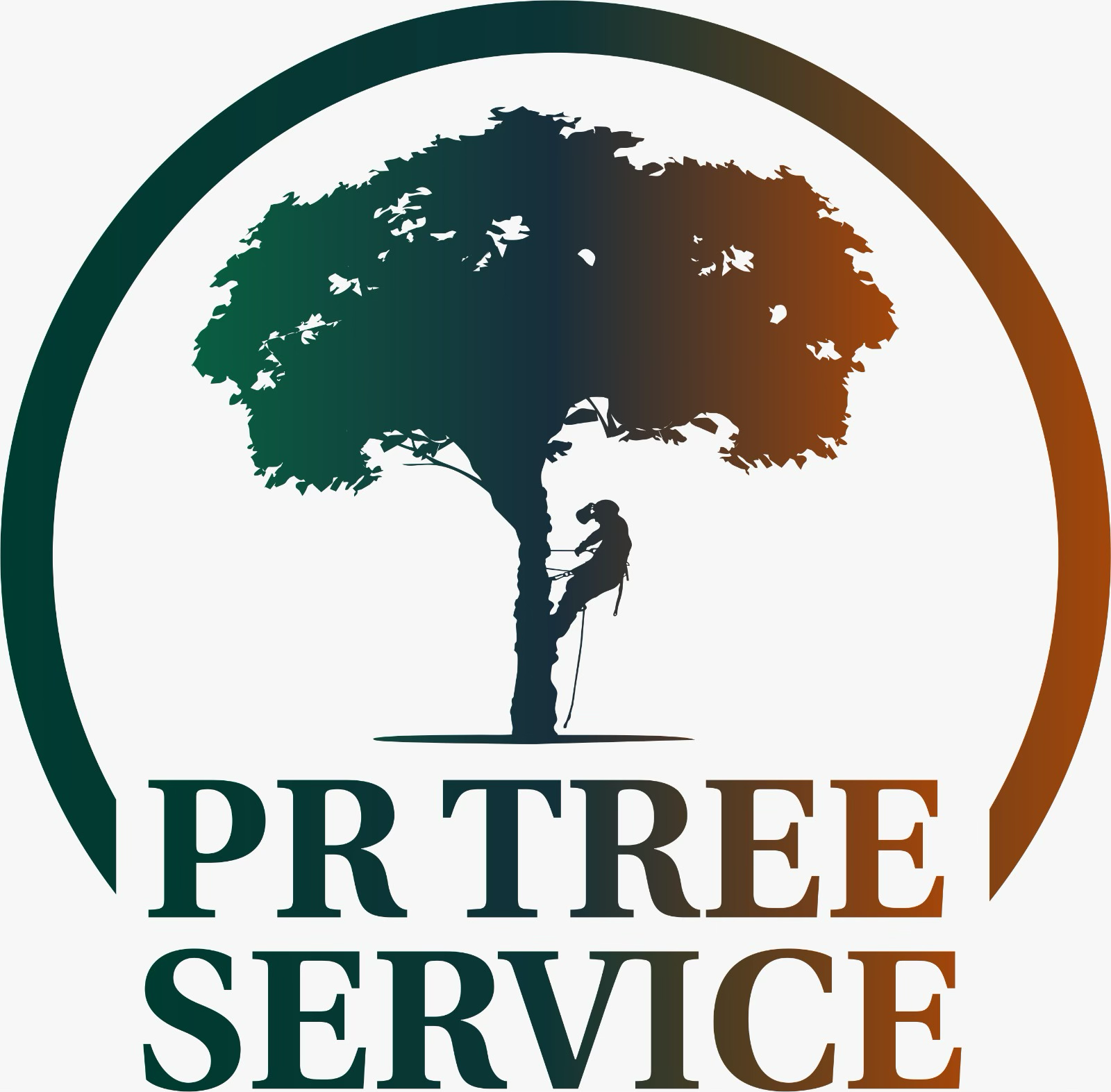 Avatar for PR Tree Service