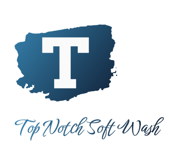 Avatar for Top Notch Soft Wash