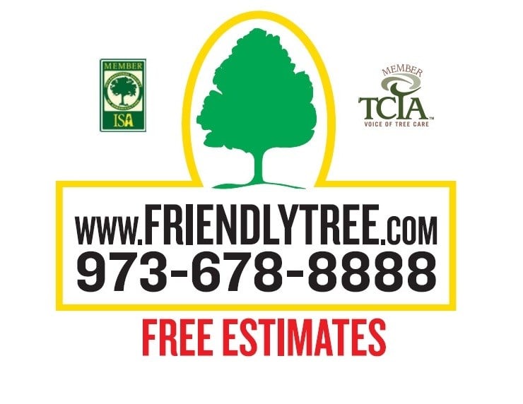 Avatar for FRIENDLY TREE SERVICE