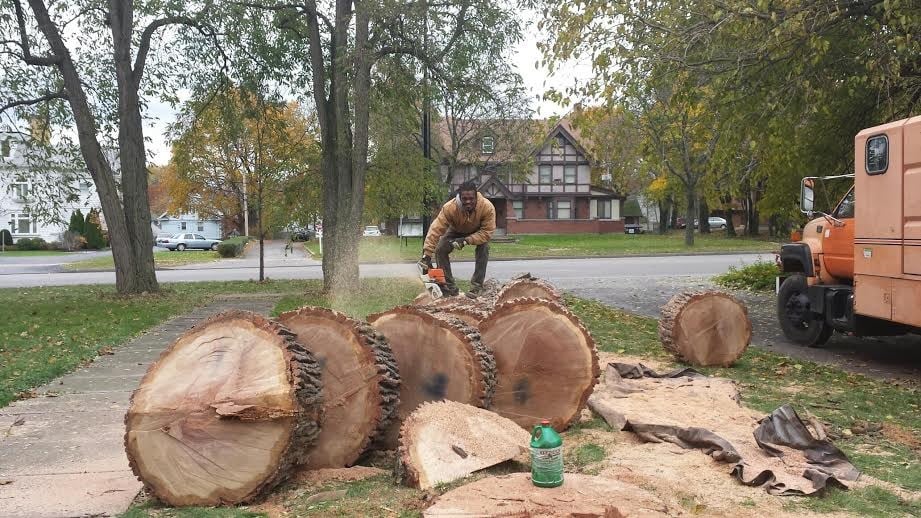 Avatar for Woodchuck Tree Service