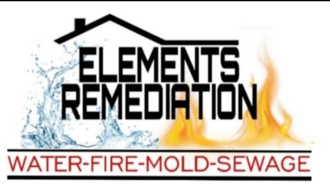 Avatar for Elements Restoration