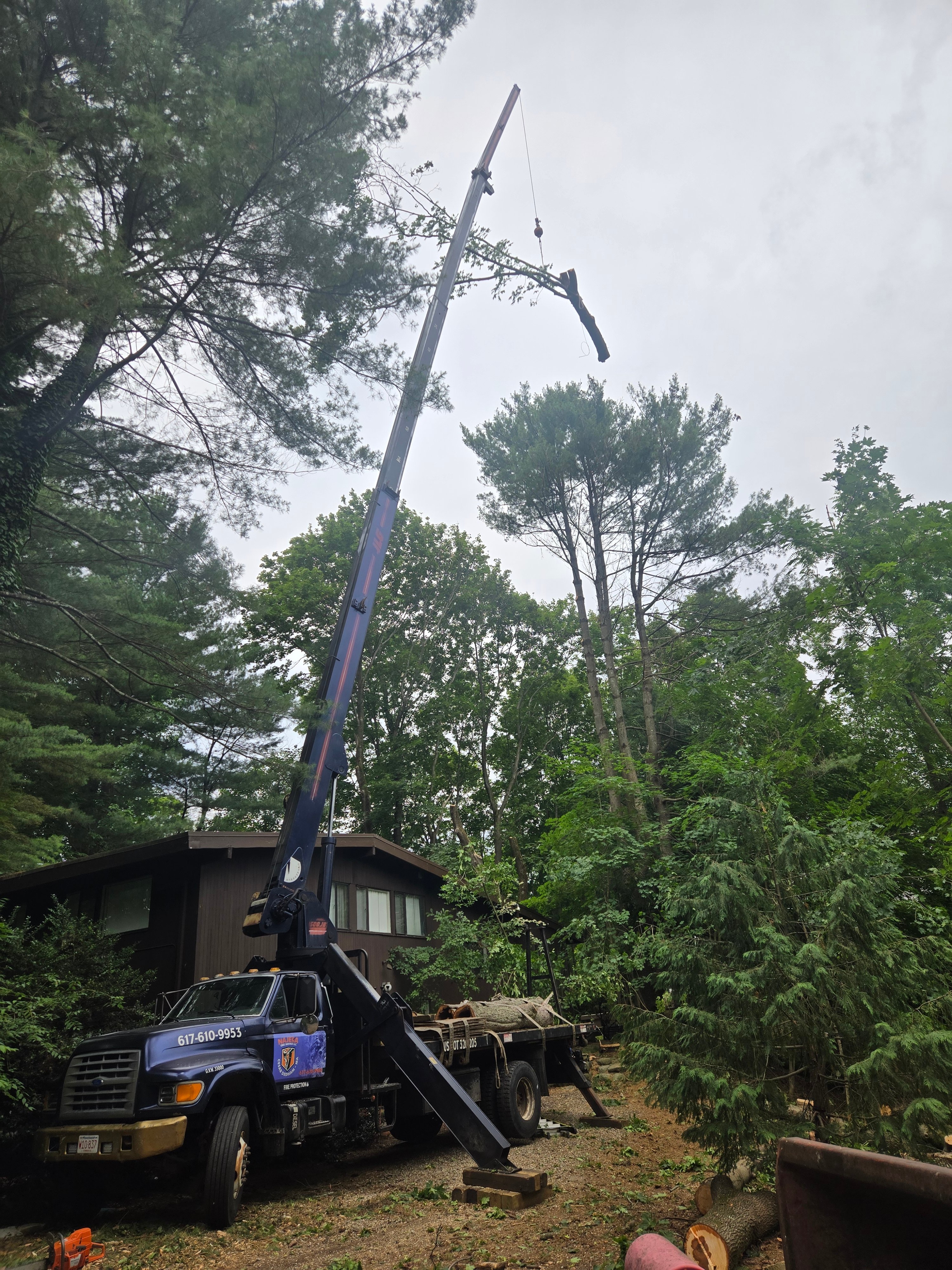 Avatar for Najera Tree Services