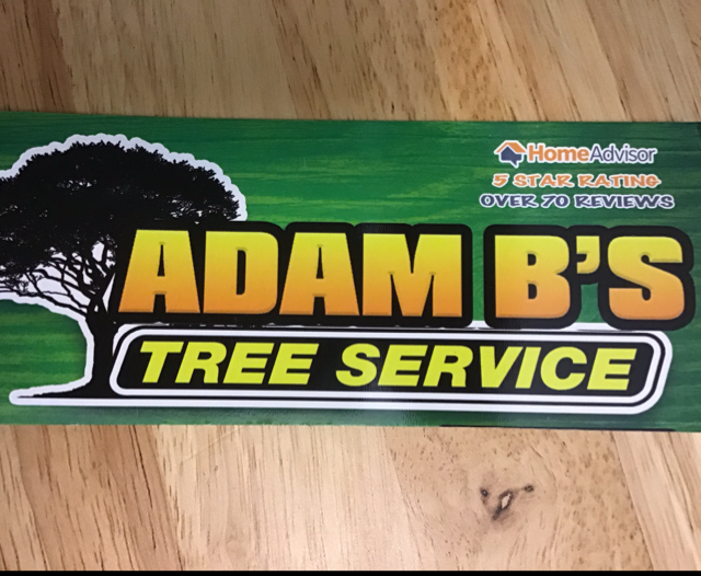 Avatar for Adam B's Tree Service