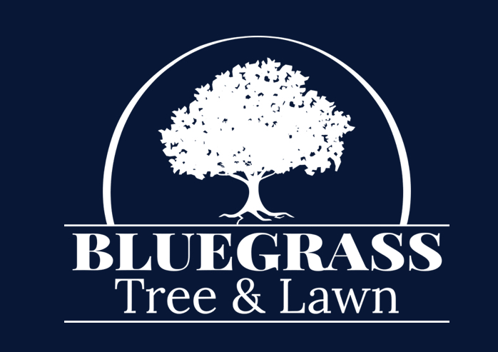 Avatar for Bluegrass Tree & Lawn