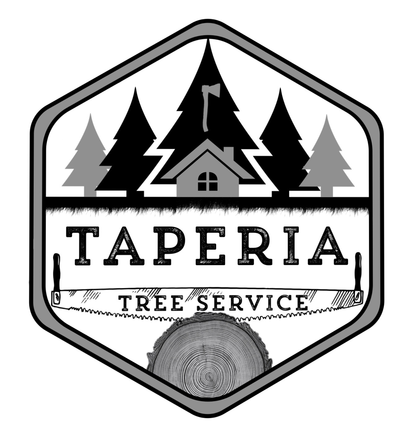 Avatar for Taperia Tree Service and Concrete