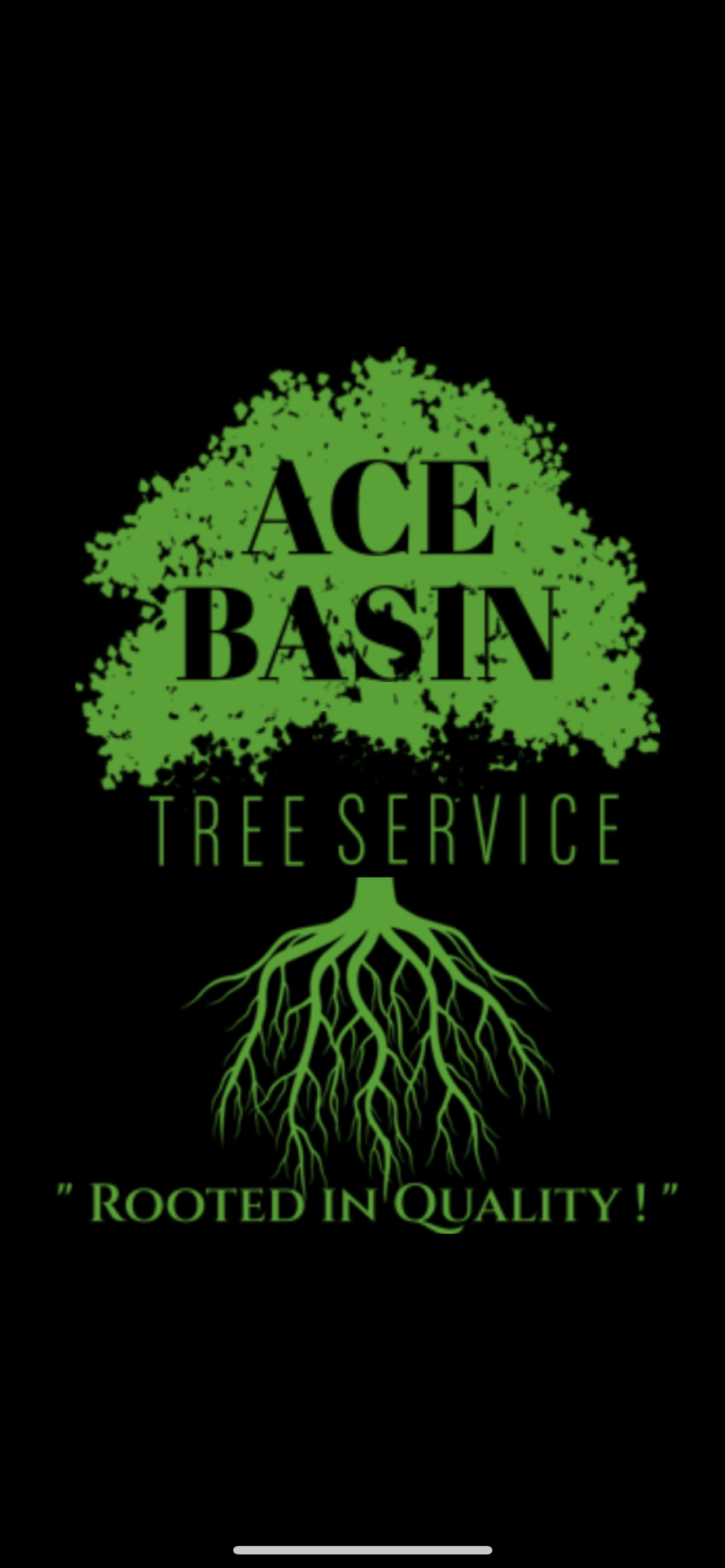 Avatar for Ace Basin Tree Service