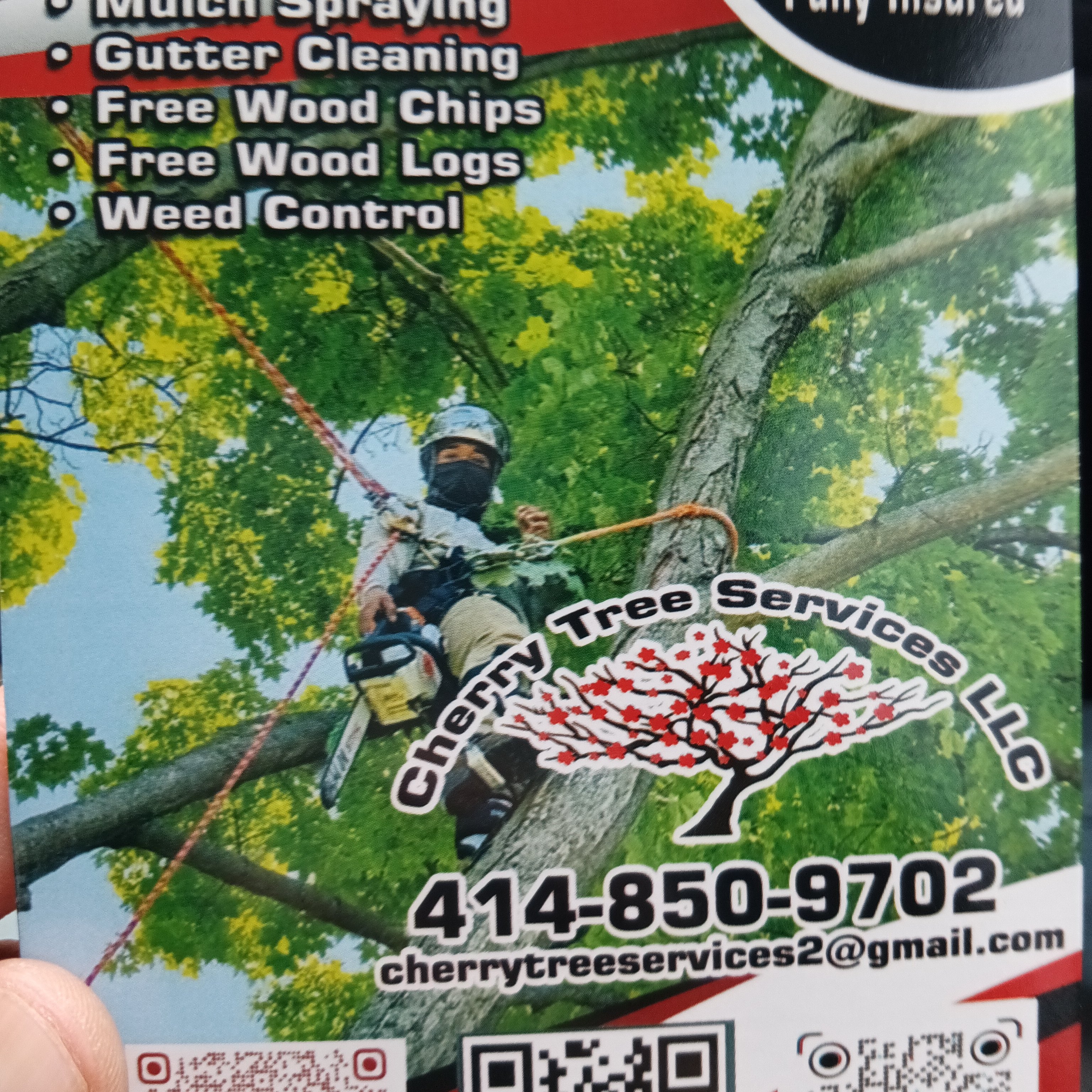 Avatar for Cherry Tree Service LLC