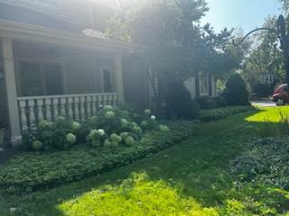 Avatar for Landscaping image llc