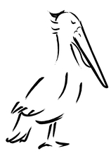 Avatar for Pelican Kitchen & Bath, LLC