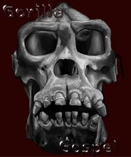 Avatar for Gorilla Gospel LLC