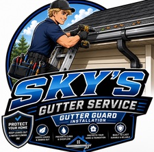 Avatar for Skys gutter service