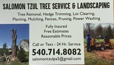 Avatar for Salomon Tzul Tree Service