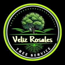 Avatar for Veliz R Construction