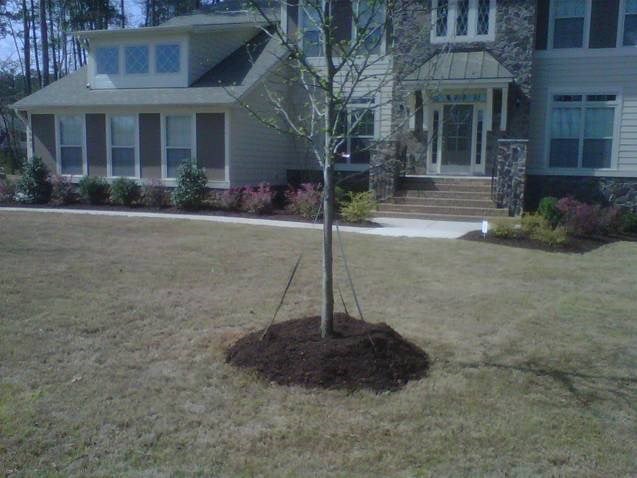 Logo for Lawn & Order Landscaping