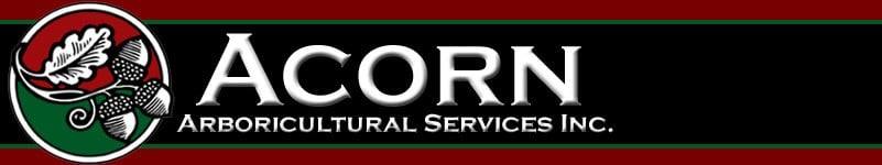Avatar for Acorn Arboricultural Services Inc