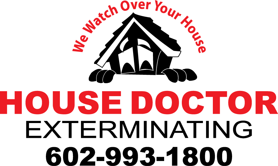 Avatar for House Doctor Exterminating