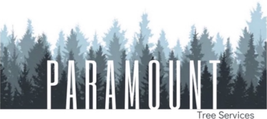 Avatar for Paramount Tree Service