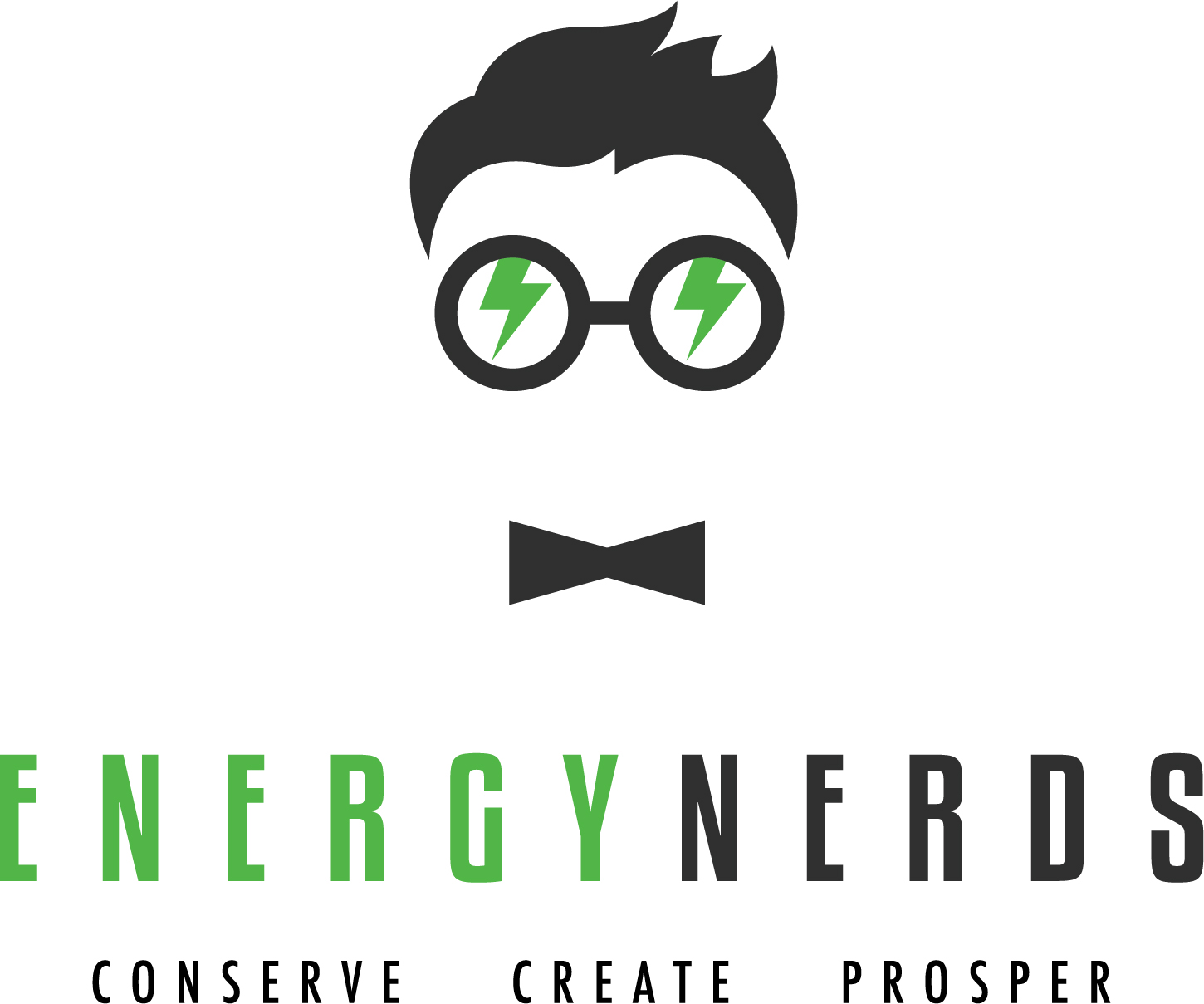 Logo for Energy Nerds