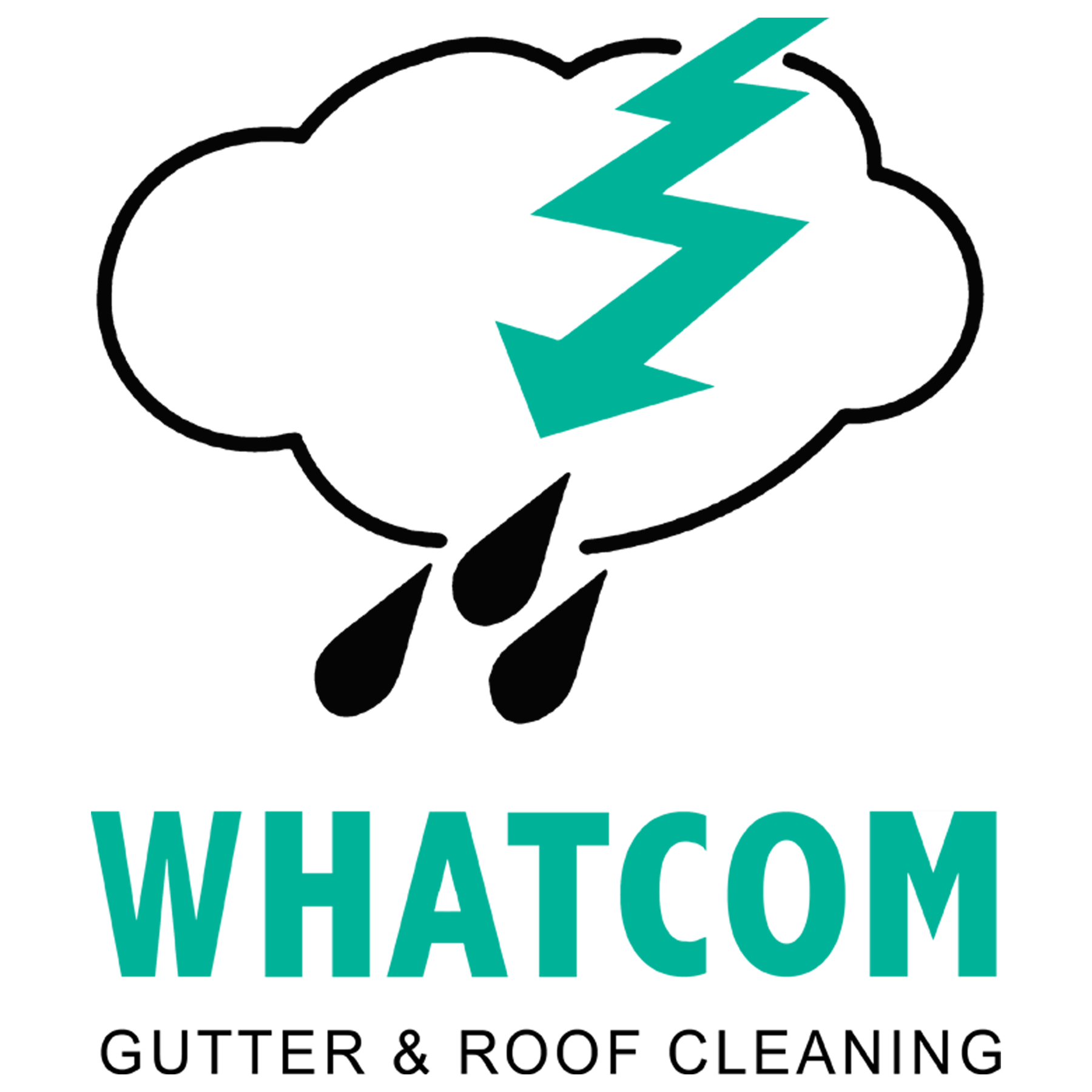 Avatar for Whatcom Gutter & Roof Cleaning