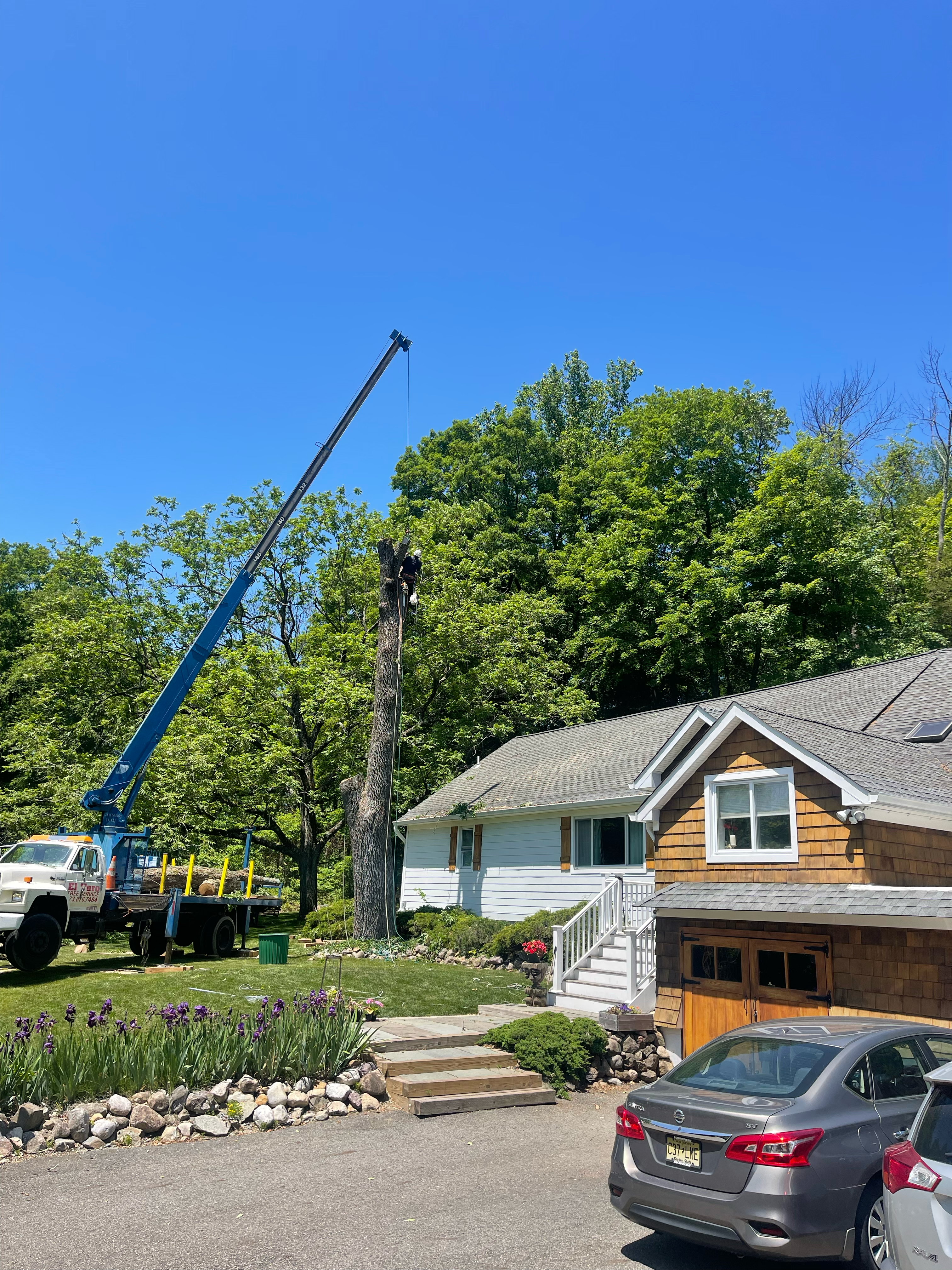 Avatar for El Toro Landscaping & Tree Services