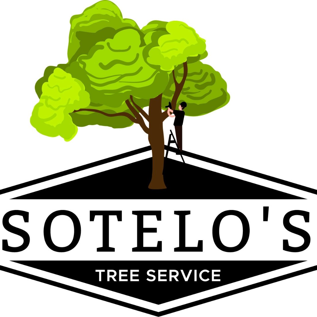 Avatar for Sotelo Tree Service