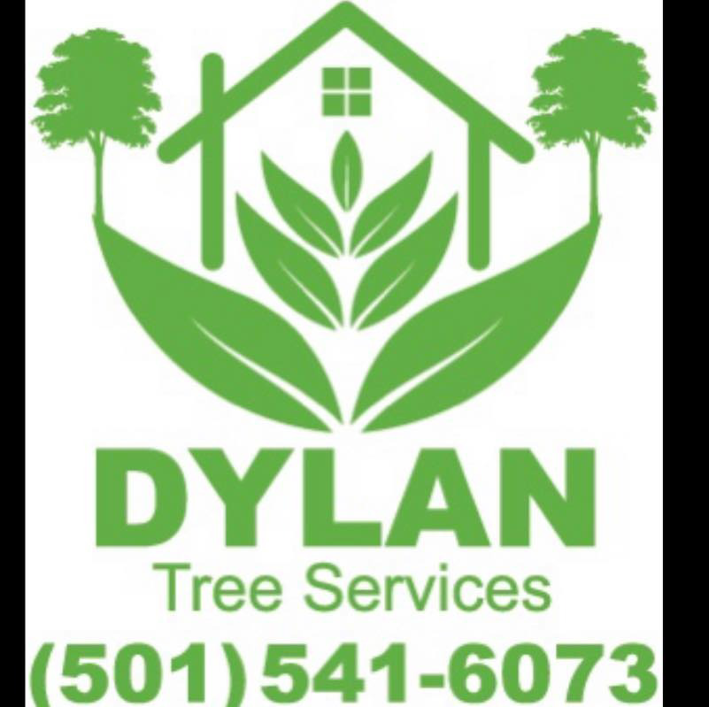 Avatar for Dylan Tree Services