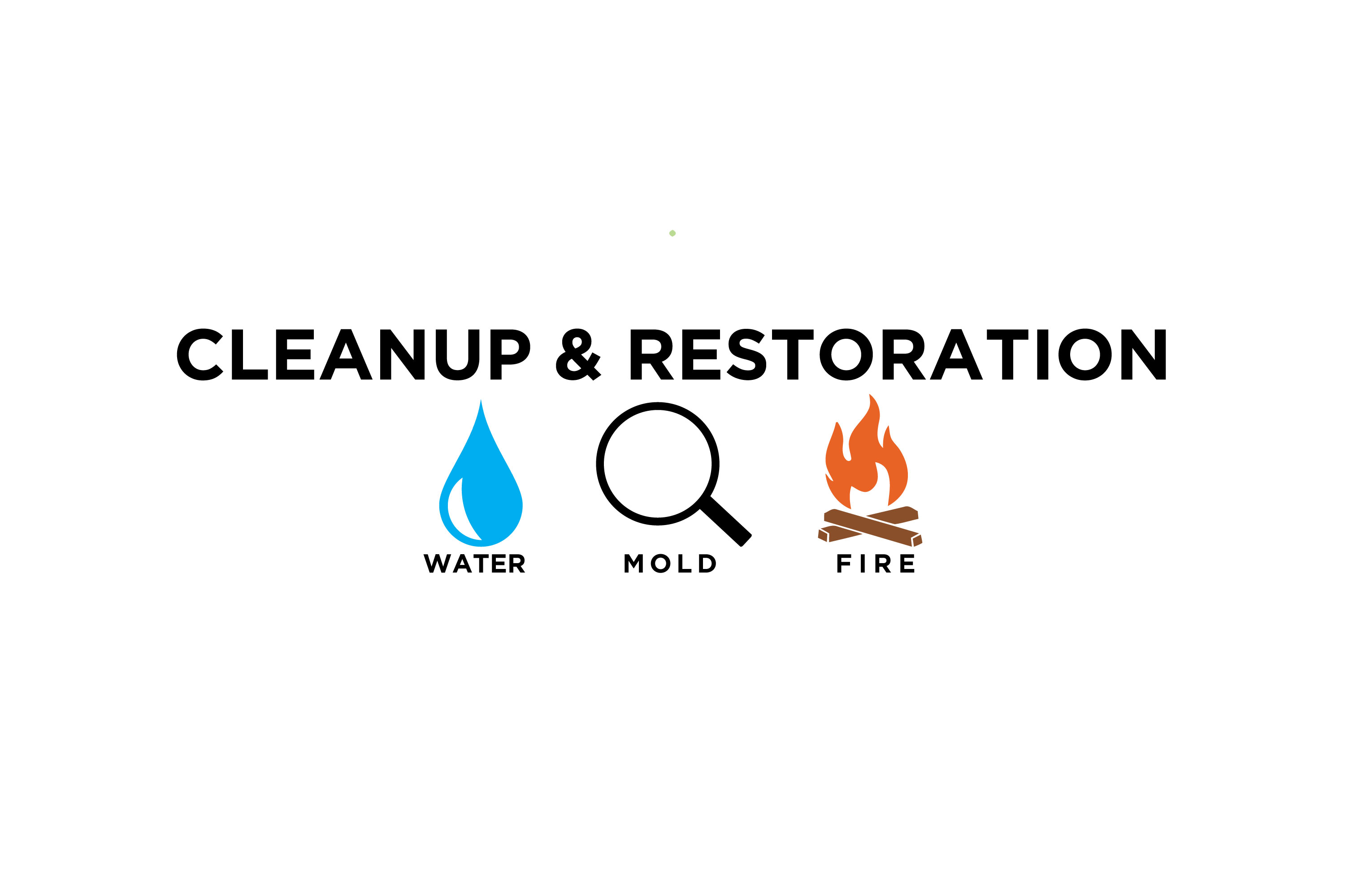 Avatar for Crown Mold Specialists