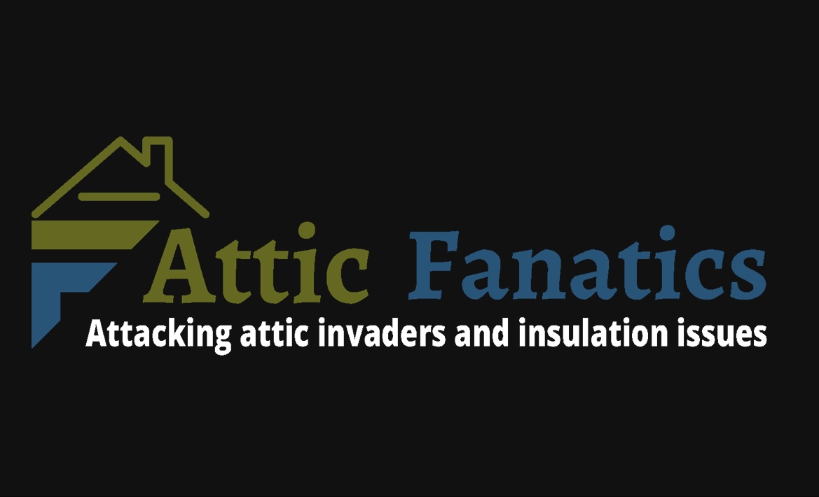 Avatar for Attic Fanatics