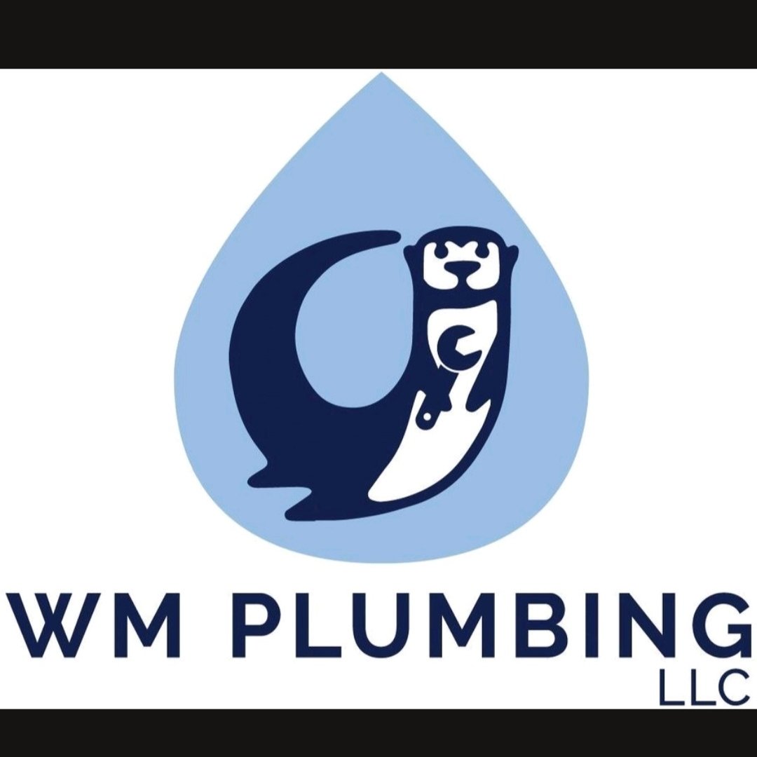 Avatar for WM Plumbing, LLC