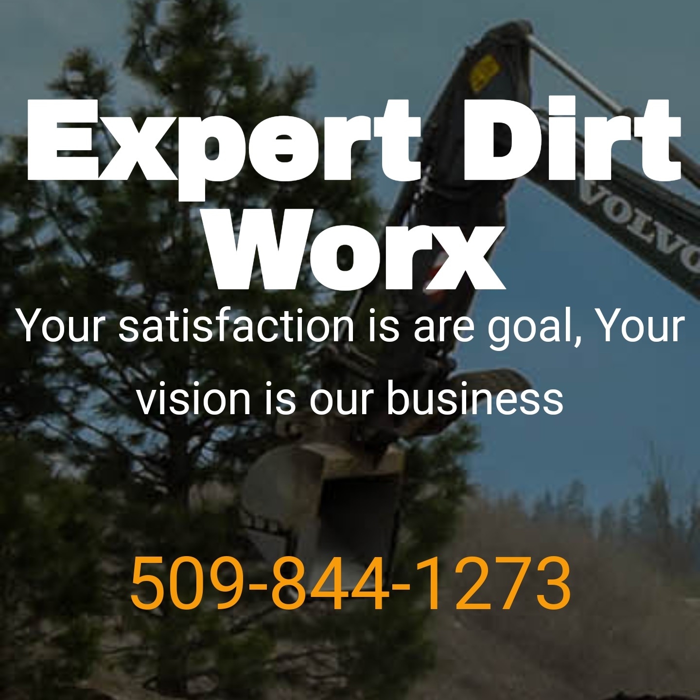 Avatar for Expert Dirt Worx