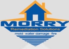 Avatar for Morry Remediation Solutions