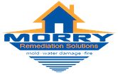 Avatar for Morry Cleaning Services