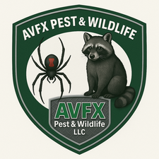 Avatar for AVFX Pest and Wildlife, LLC