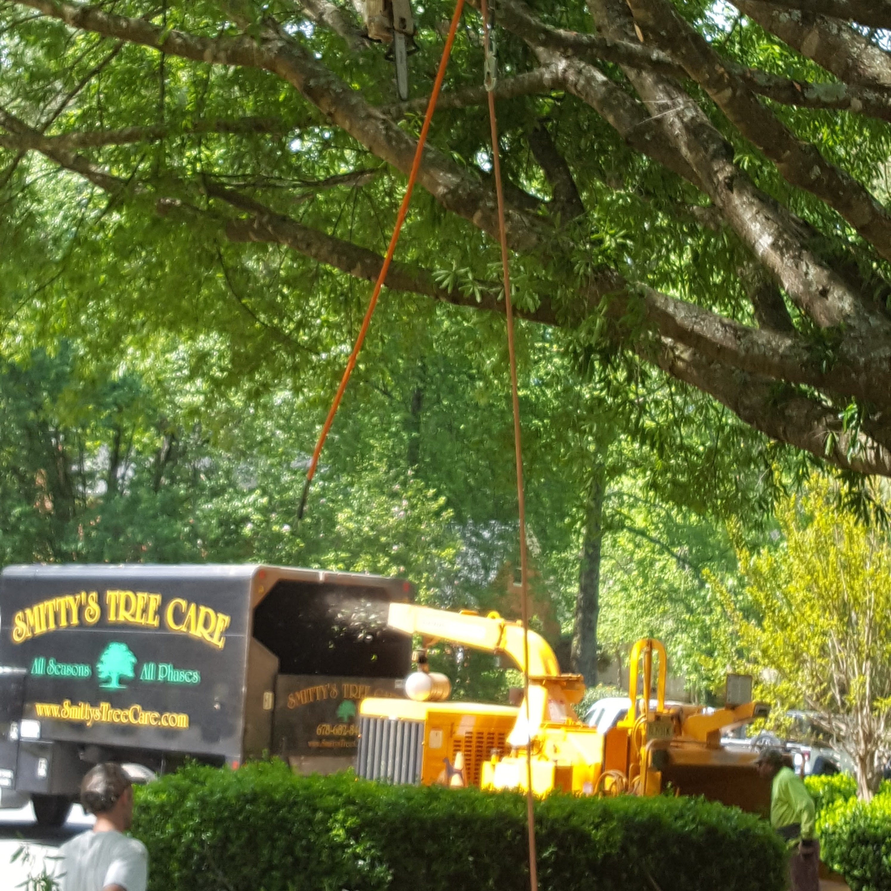 Avatar for Smitty's Tree Care
