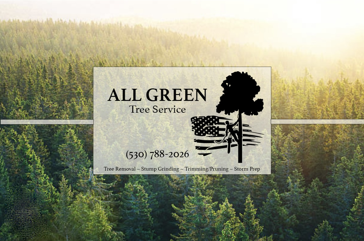 Avatar for All Green Tree Service