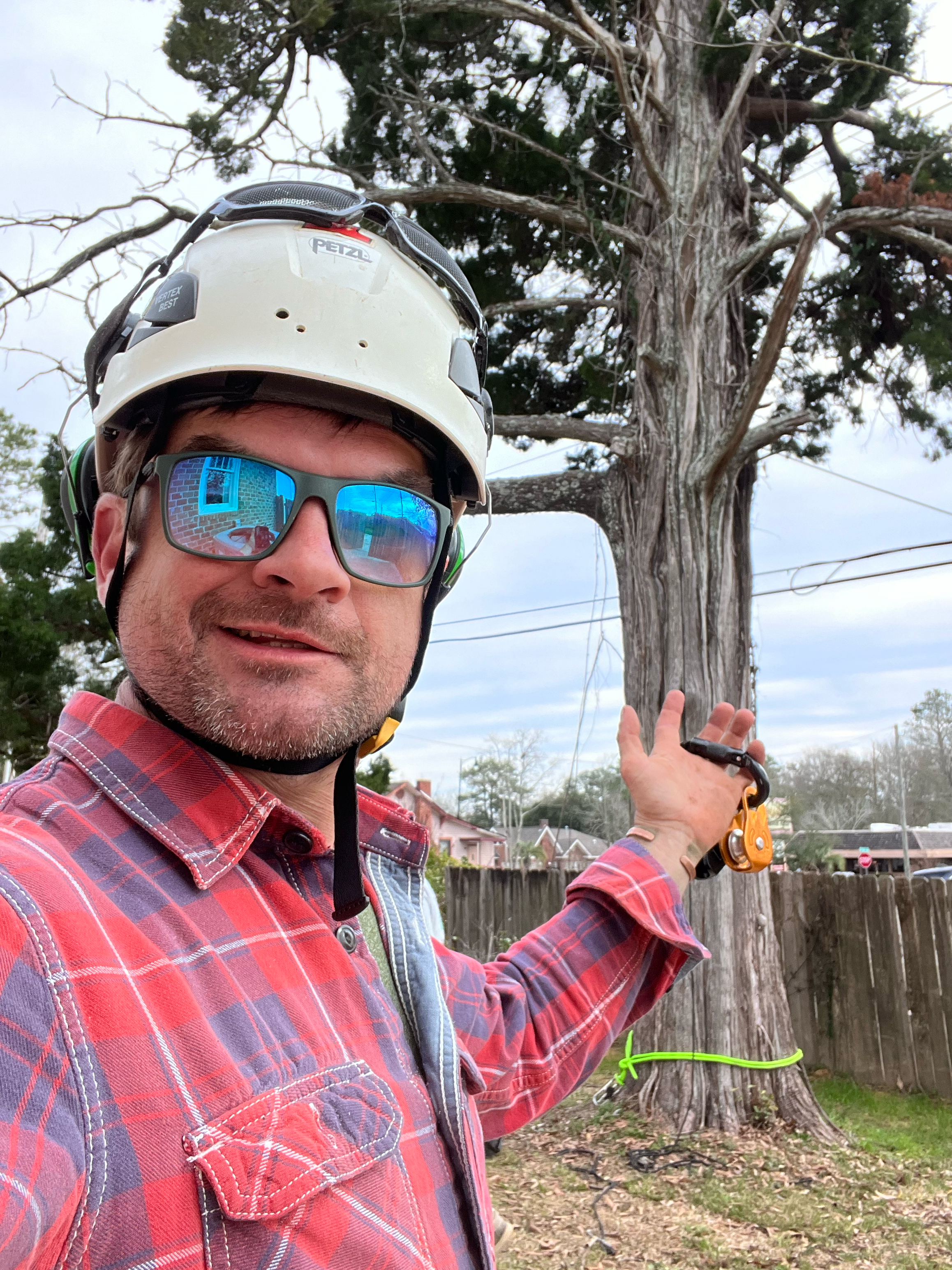 Avatar for Sawyer's Tree Works