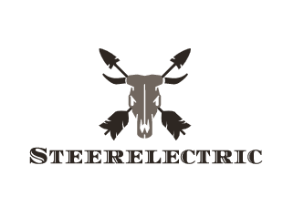 Avatar for SteerElectric