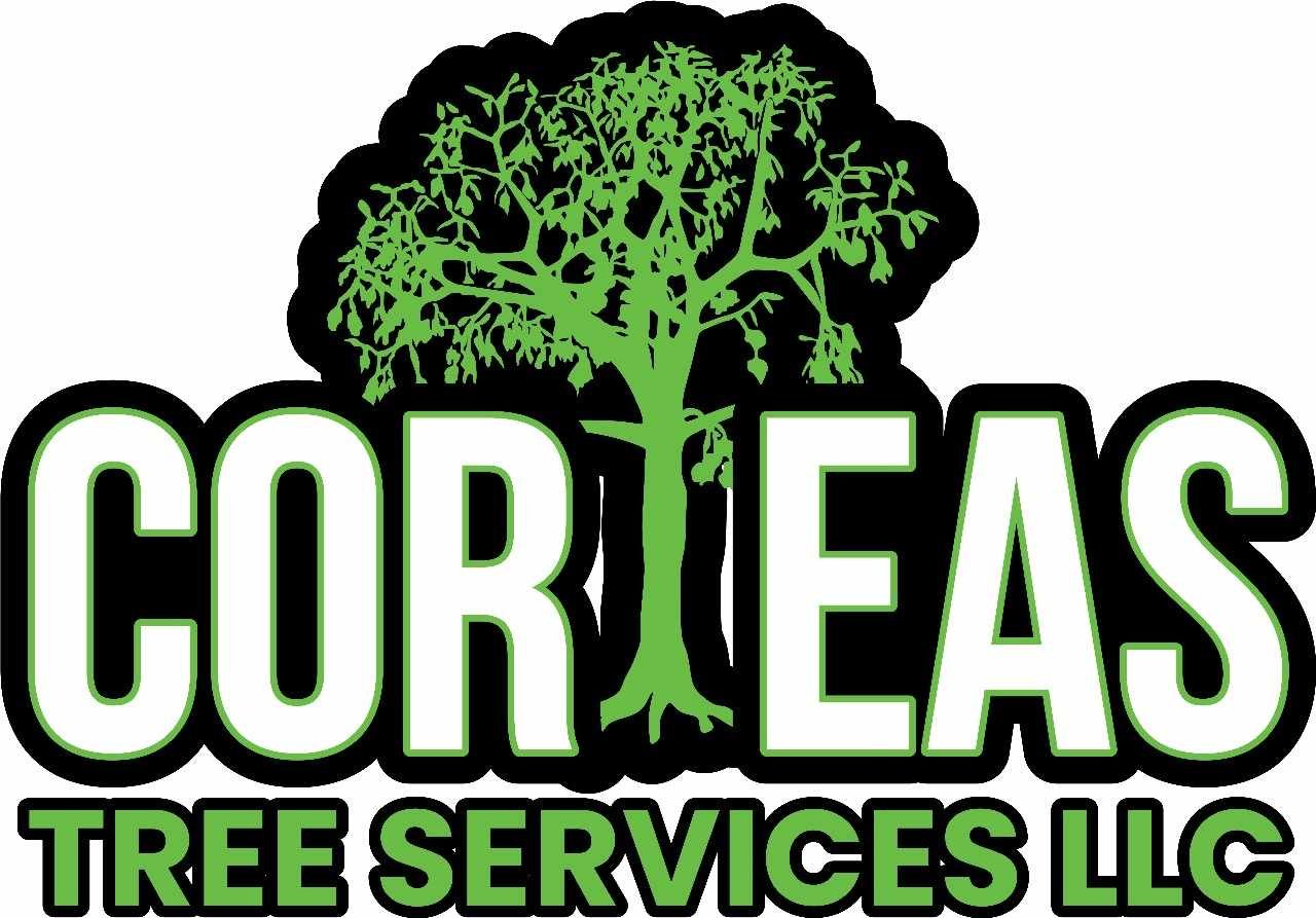 Avatar for Coreas Tree Services LLC