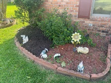 Avatar for GENERAL GRASS LAWN CARE LLC
