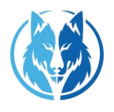Avatar for Le Wolf Window Tint and Film Solutions