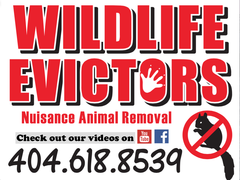 Avatar for Wildlife Evictors