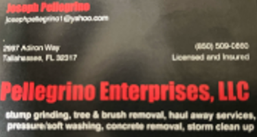 Pellegrino Enterprises, LLC logo